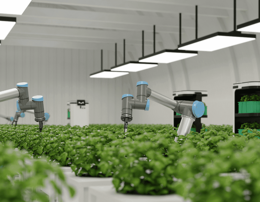 AI in Agriculture
